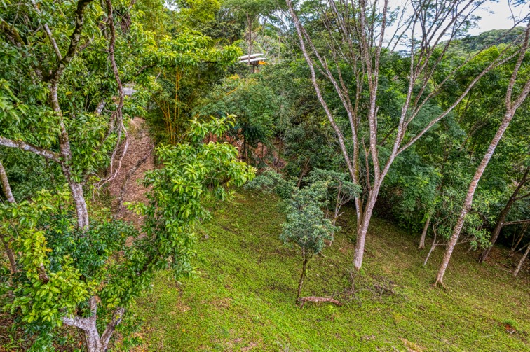 Highway Frontage Commercial and Residential Lot in Ojochal selected