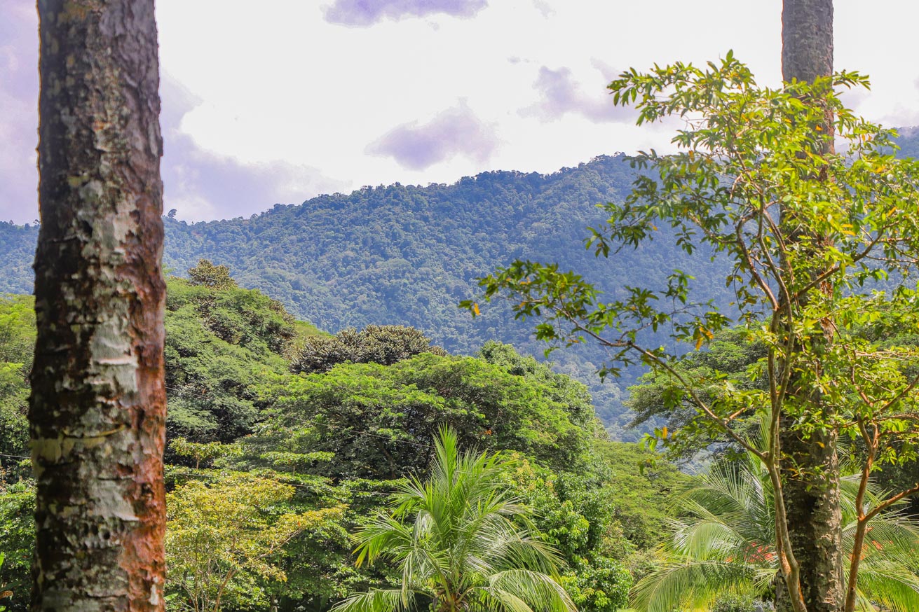 3.7-Acre Airport-Adjacent Property with Direct Runway Access, Prime Zoning, and Mountain Views selected