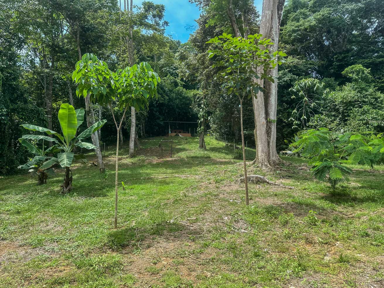 Exceptional 12-Acre Investment Property in Central Ojochal – Riverfront Jungle Estate with Home, Cabin, Workshop & Endless Development Potential selected