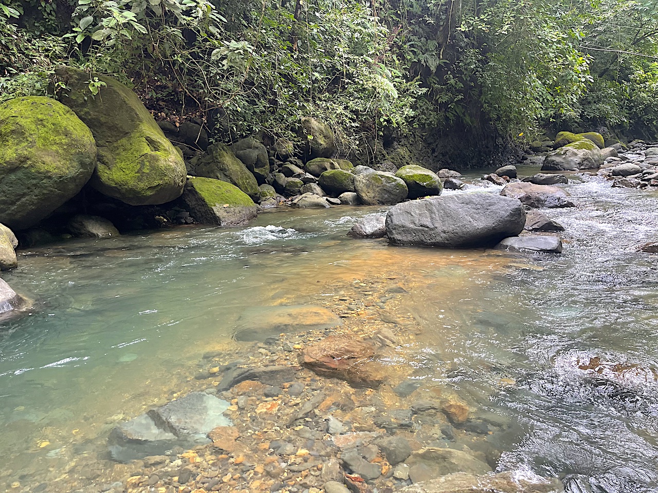 3.5 Acres with River Frontage in Tres Ríos selected