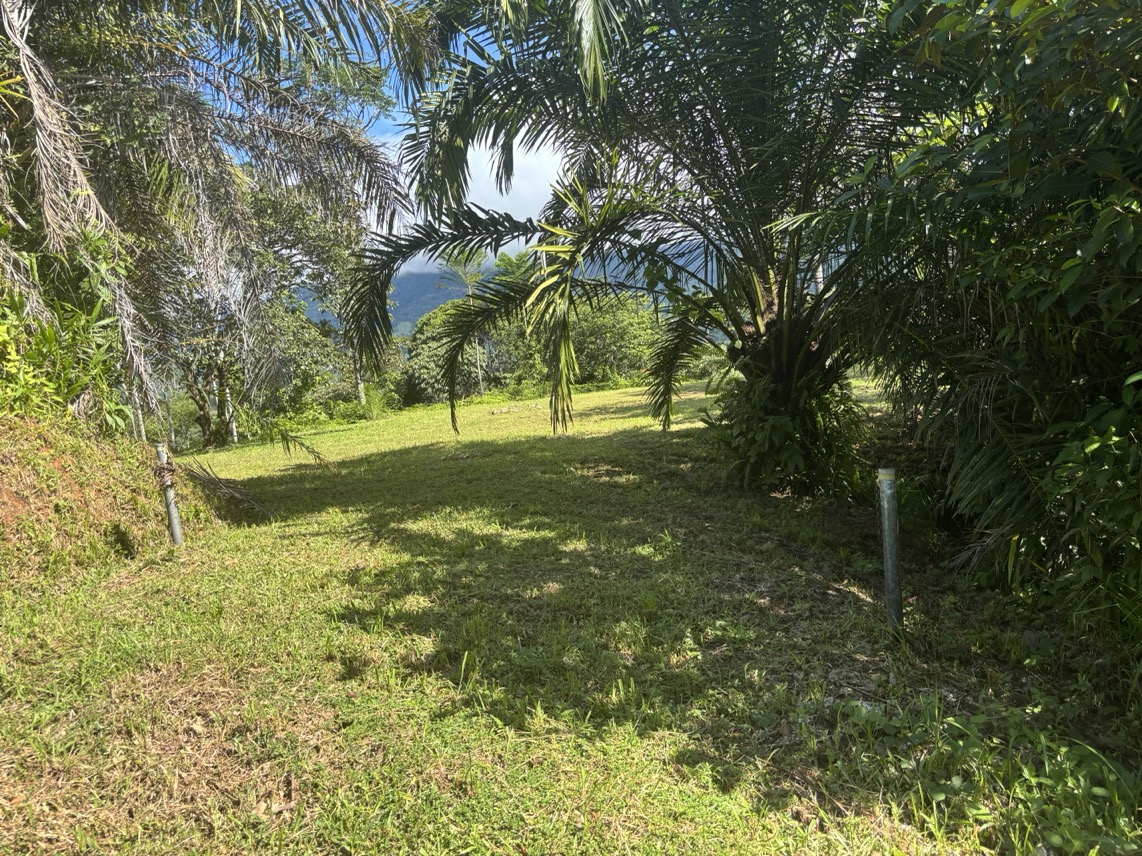 Two Ocean View Properties in Ojochal – 5.33 Acres of Pure Paradise selected