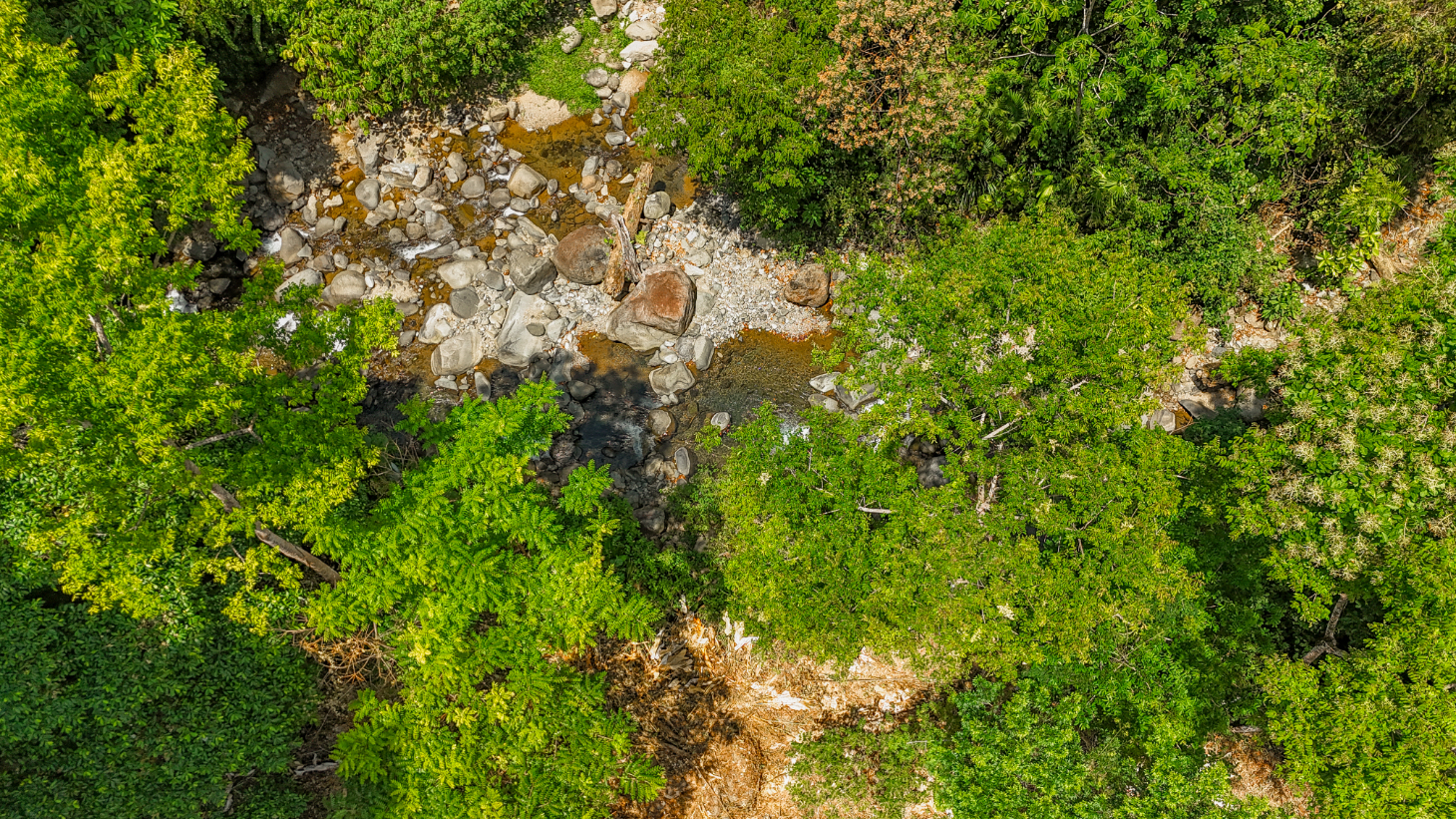 2.46 Acre Jungle Land for Sale in Ojochal with River Border selected