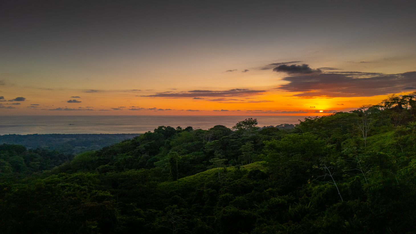 Private Oceanview Sanctuary Above Uvita's Iconic Whales Tail, 3 Bed, 3 Bath selected