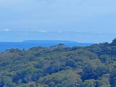 Jungle Canopy Retreat with Ocean View image 4