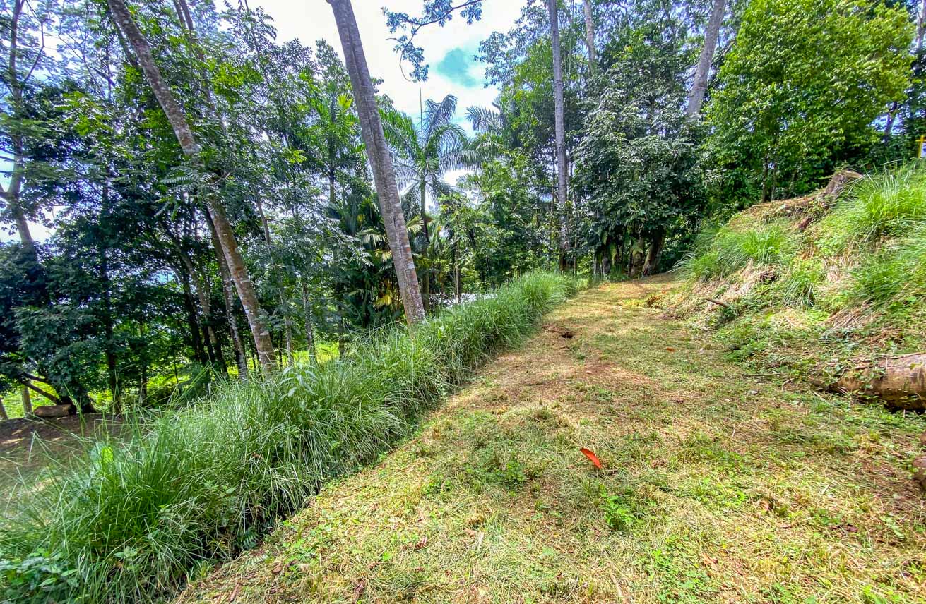 Large Uvita Lot with Whale’s Tail Ocean Views, Sunsets & Legal Water – Ready to Build selected