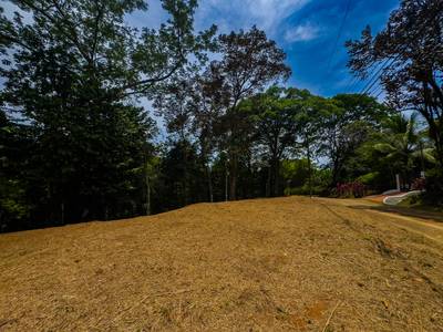 Prime 2.35-Acre Jungle Property in Sought-After Ojochal — Public Road Frontage, Development Flexibility, and Natural Beauty image 1