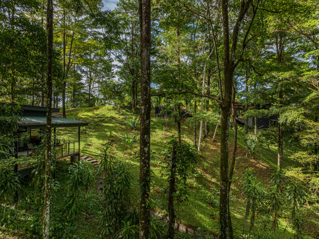 Luxury Jungle Retreat with Income Potential near Nauyaca Waterfalls & Dominical selected