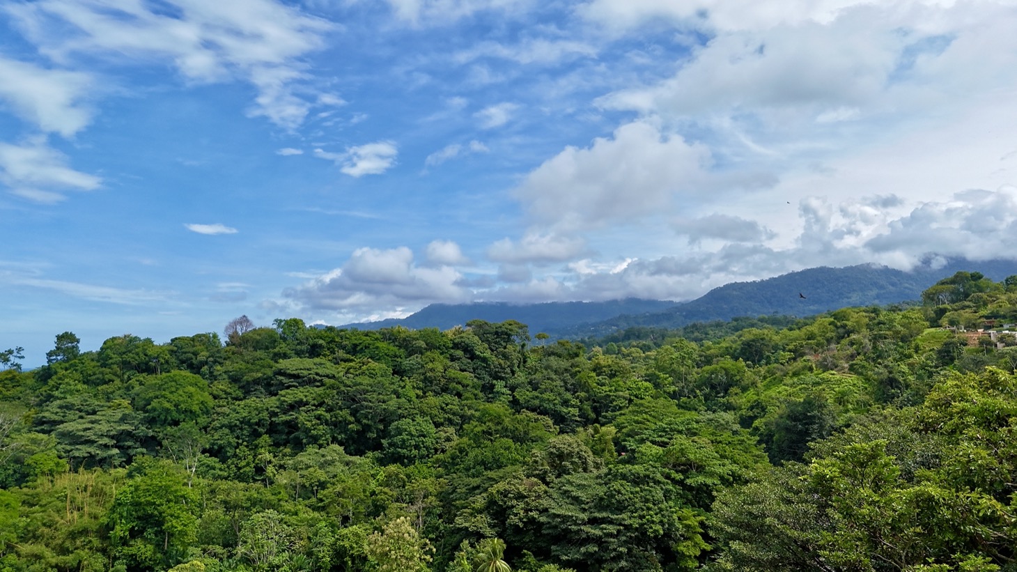 Ocean View Land Within a Few Minutes to Uvita selected