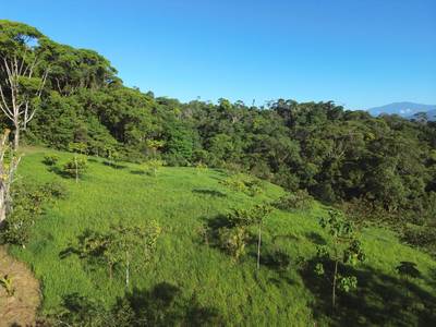 Expansive Escaleras Estate with Ocean Views, Jungle, and Development Potential image 3