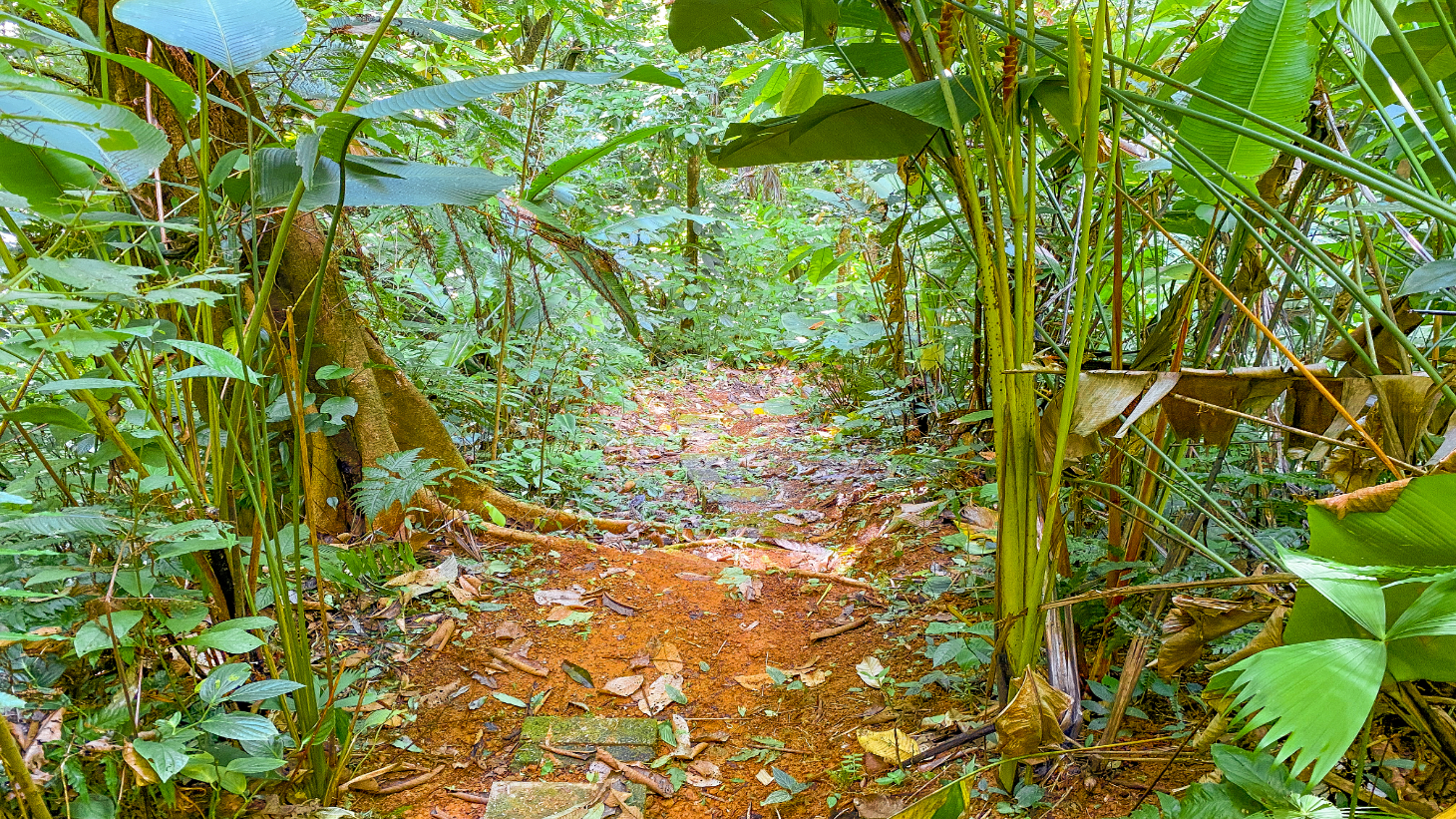 3 Bedroom Rainforest Home in Ojochal With River & Waterfall | 3.5 Acres Private selected