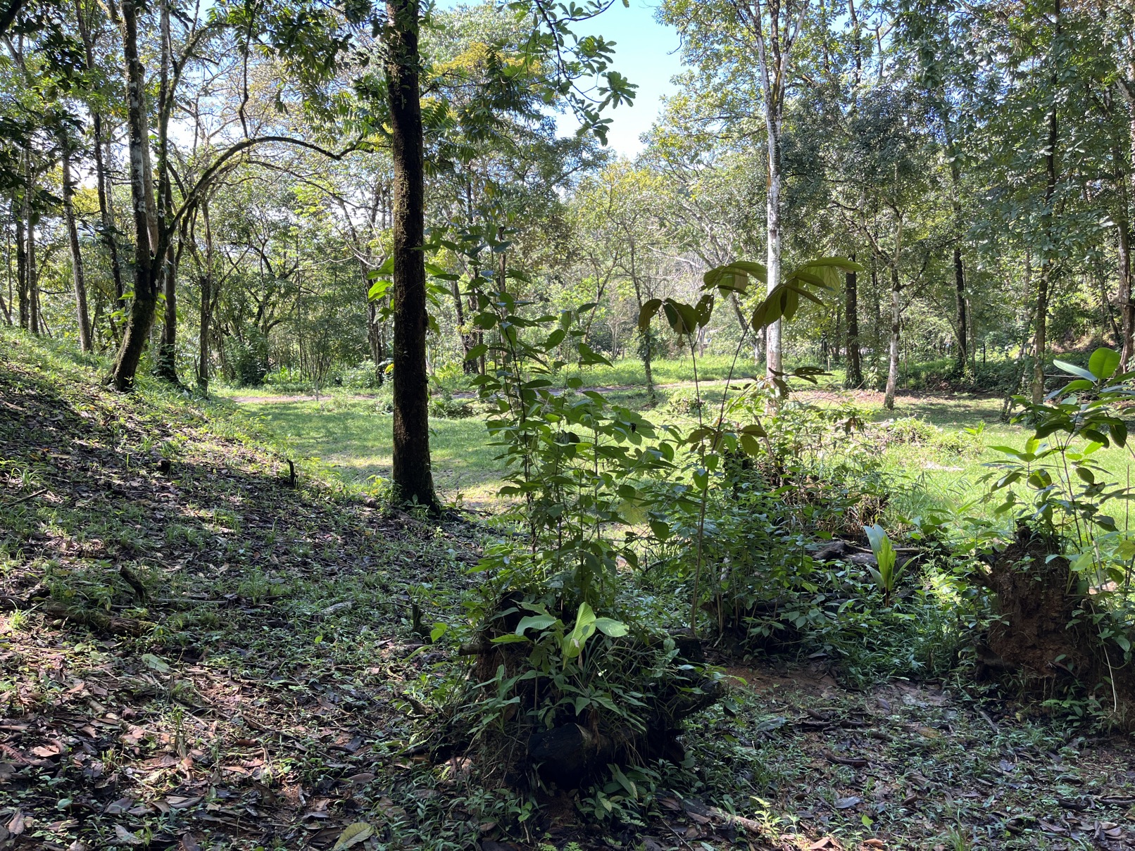 Flat Lot in Tortuga: Your Dream Project Awaits selected