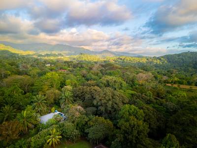 Exceptional 1.3-Acre Property in Ojochal with Expanded Development Potential image 3