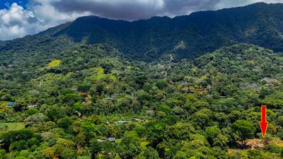 2.46 Acre Jungle Land for Sale in Ojochal with River Border image 4