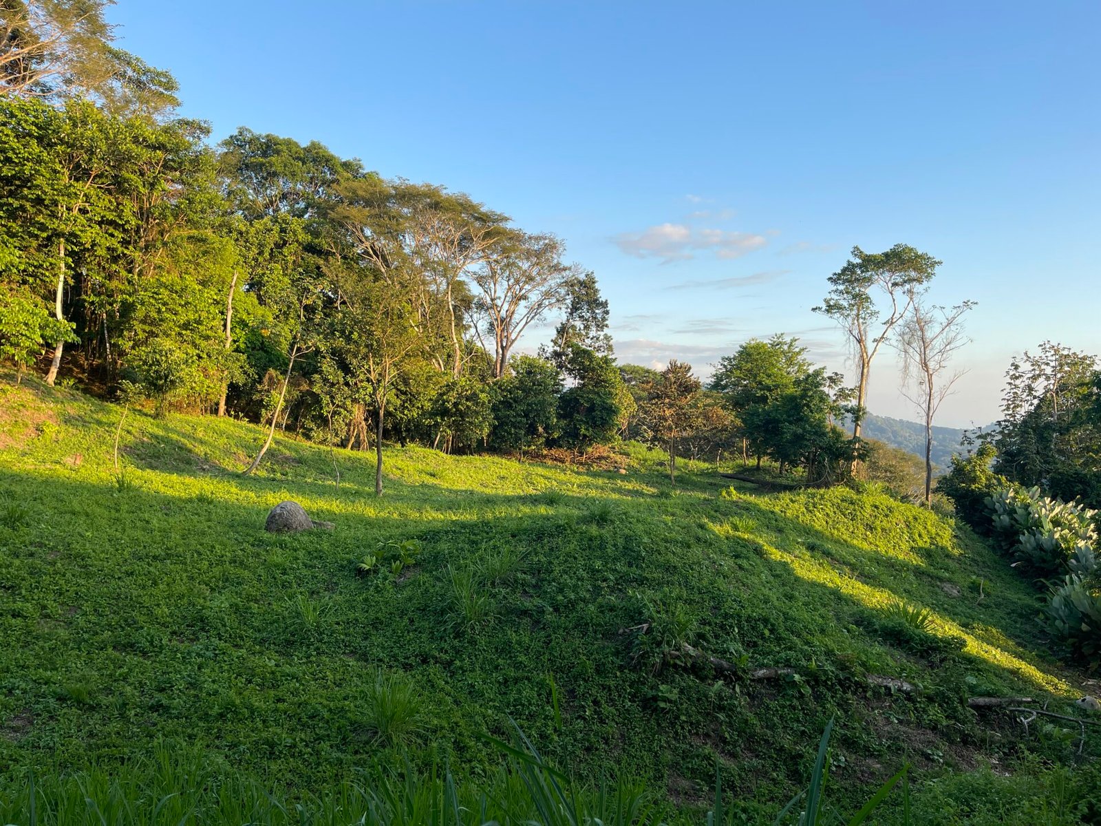 Ocean View Gem with Exceptional Usability near Dominical selected