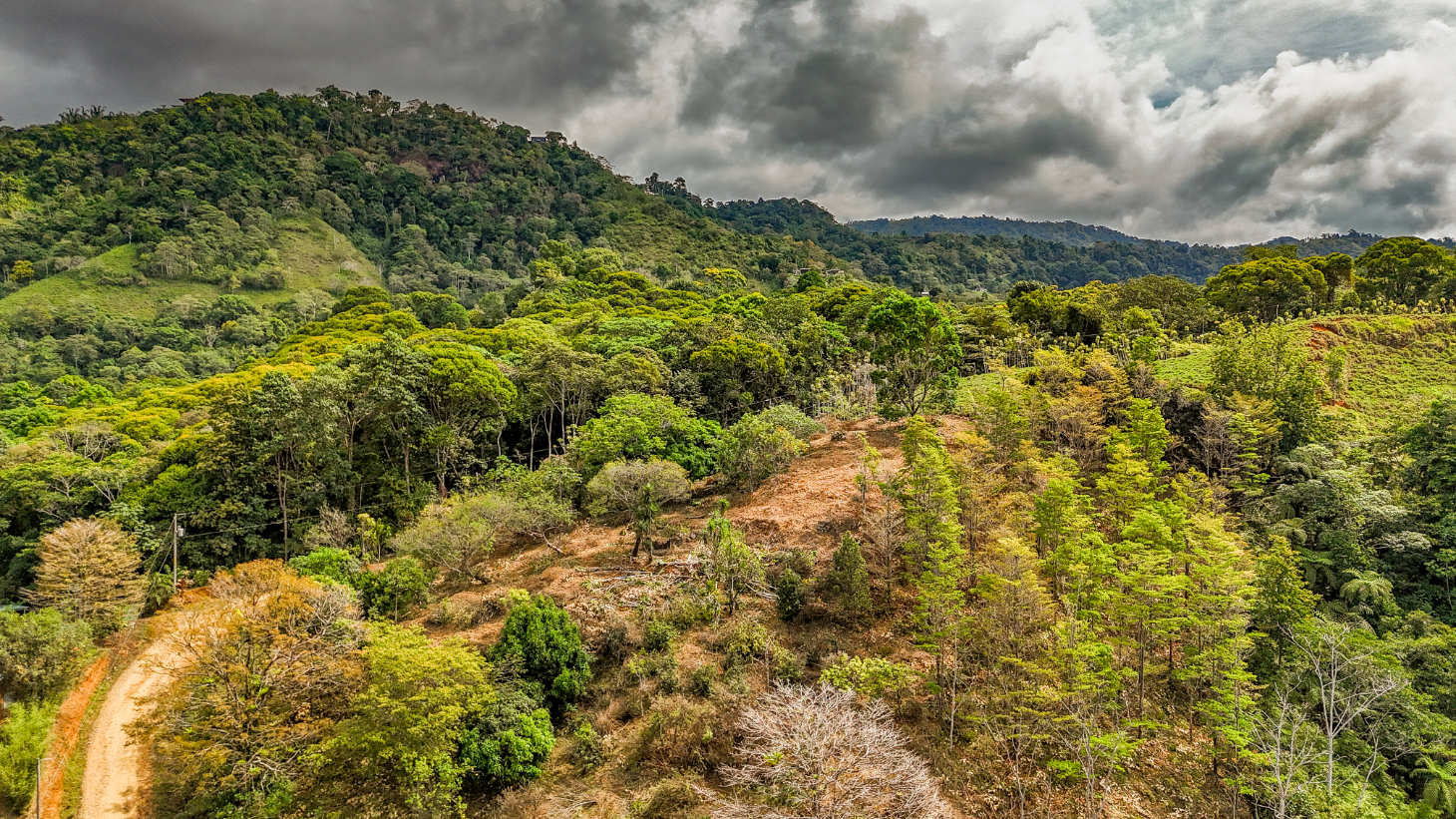 1.5 Acre Ocean & Mountain View Lot Near Uvita | Legal Water & Privacy selected