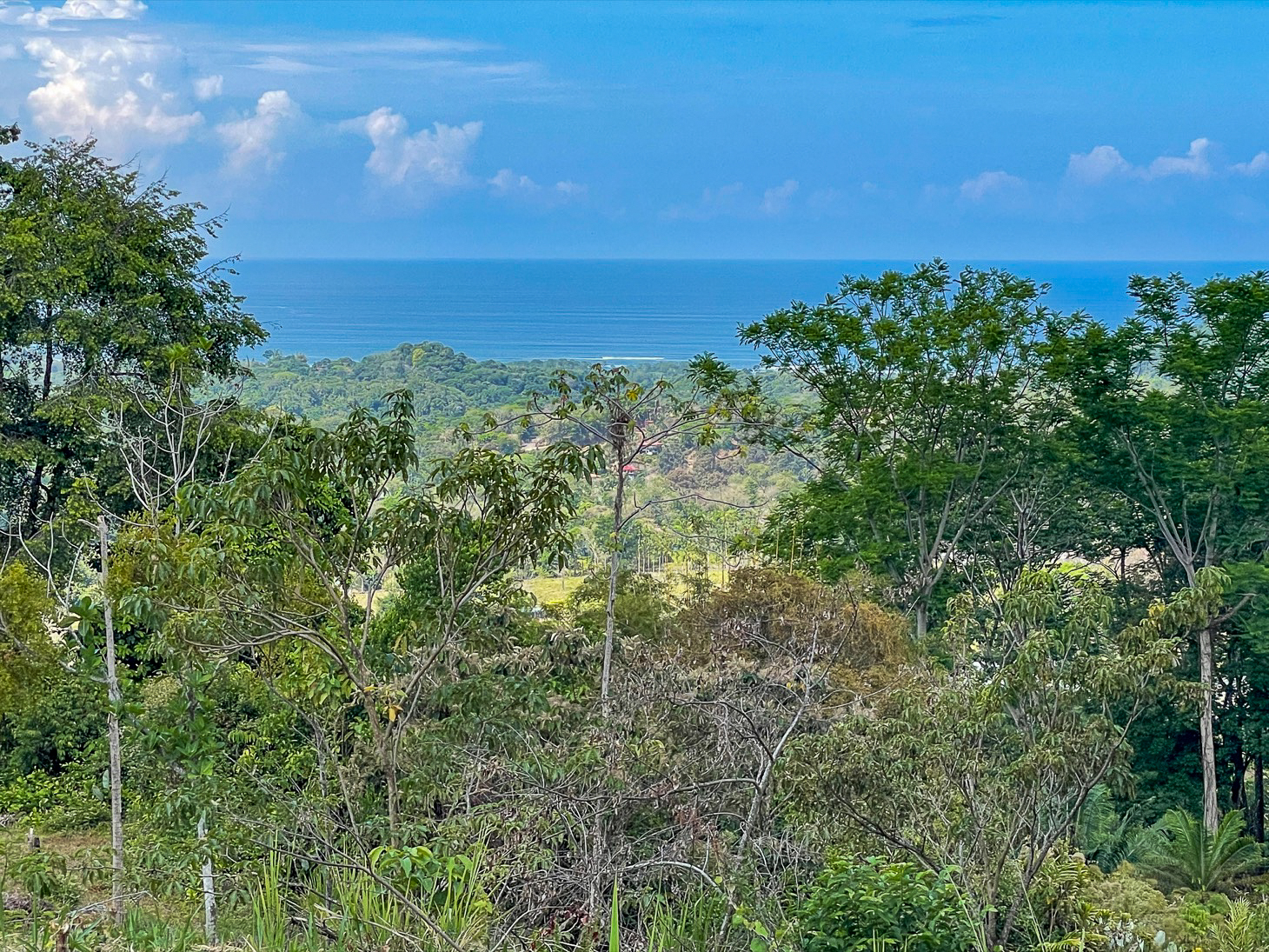 Excellent Dream Home Or Mini-Development Opportunity: 2.2-Acre Ocean View Property in Ojochal, Costa Rica selected
