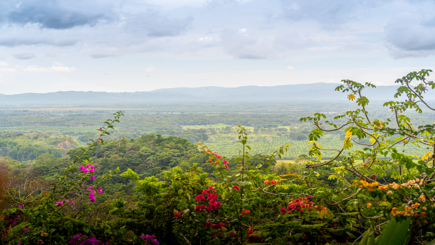 Front Ridge Ocean View Casa Mono Titi – Tres Rios, Costa Rica selected
