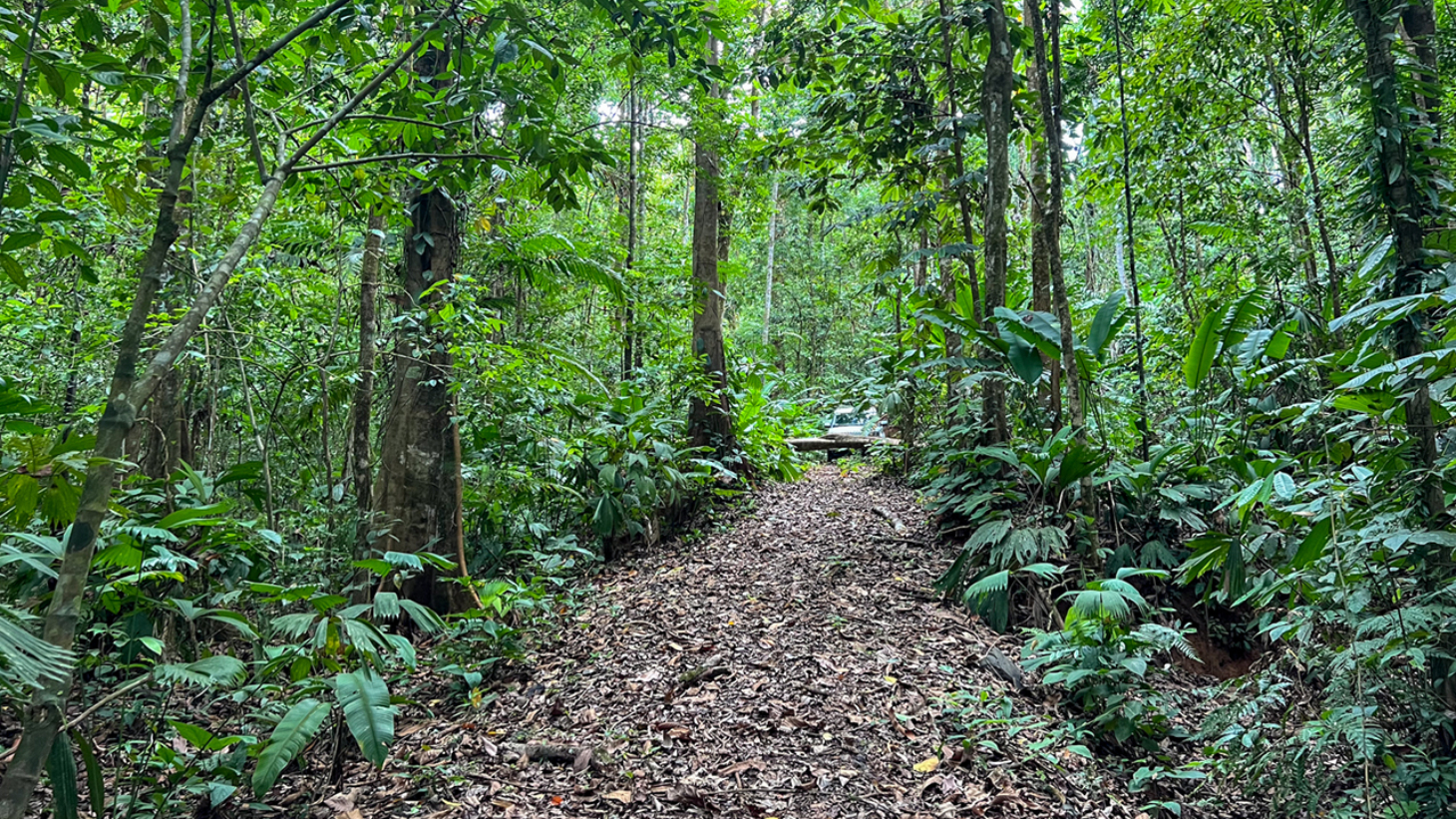 Riverfront Property with Primary Forest Close to Uvita Beaches selected