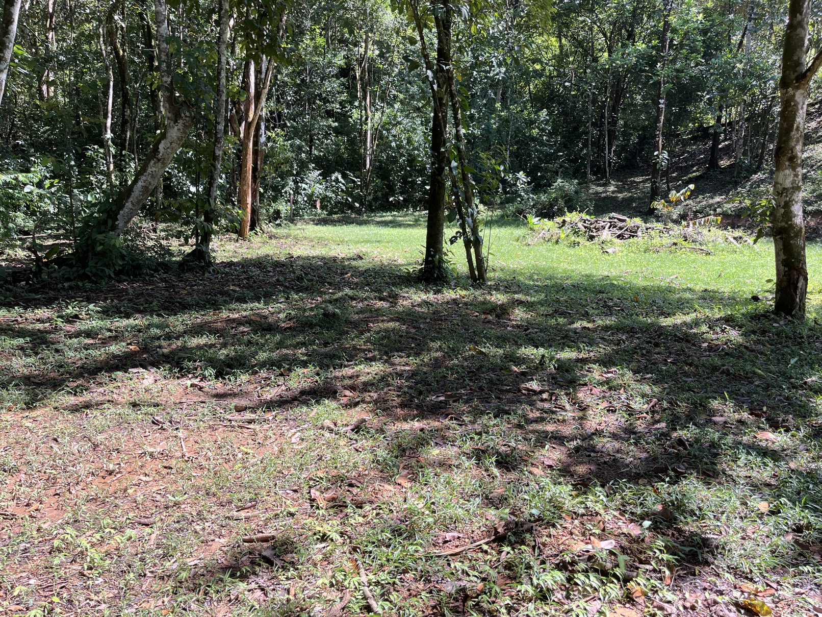 Flat Lot in Tortuga: Your Dream Project Awaits selected