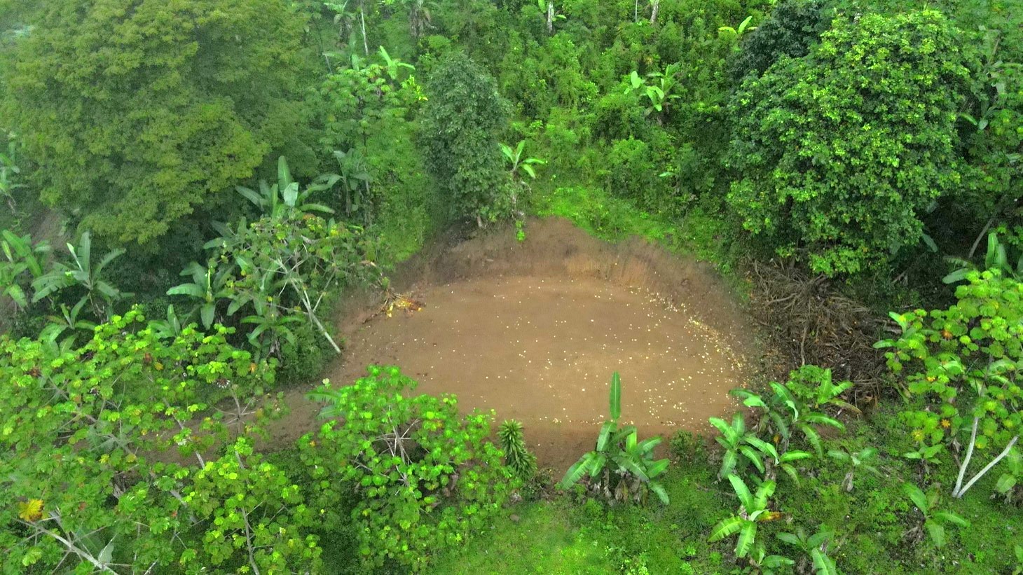 Mountain View Land with Several Building Sites and Mature Fruit Trees selected