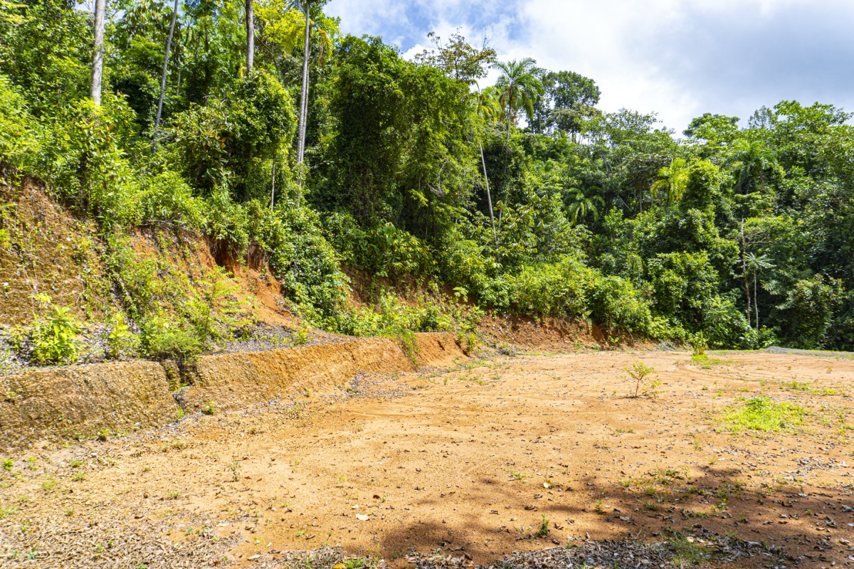 1.5 Acres with Mountain in San Buenas selected