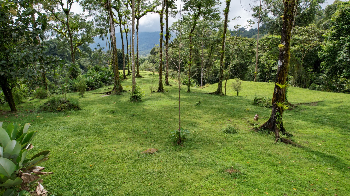 Secluded 4.5-Hectare Riverfront Oasis Near Hatillo & Dominical – Dos Bocas, Costa Rica selected