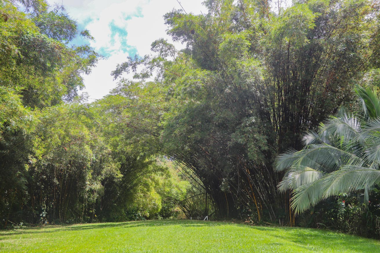 3.7-Acre Airport-Adjacent Property with Direct Runway Access, Prime Zoning, and Mountain Views selected