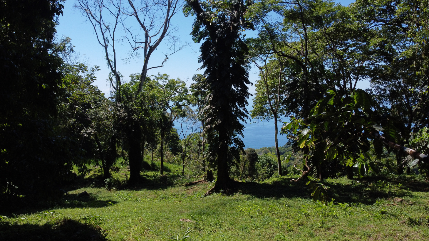 Exclusive 5.80 acres Ocean View Estate Lot in Costa Verde Estates – Escaleras selected