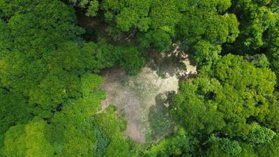 Your Private Jungle Retreat Just Minutes from Dominical image 1