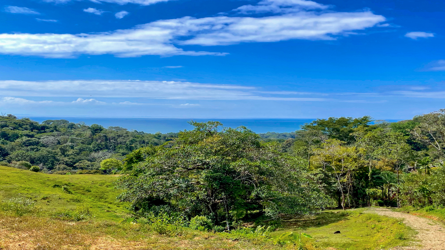2.24 ACRES – 7 Bedrooms Ocean View Boutique Hotel With Two Pools, 5 Minutes to Uvita, Multiple Rental Options!! selected