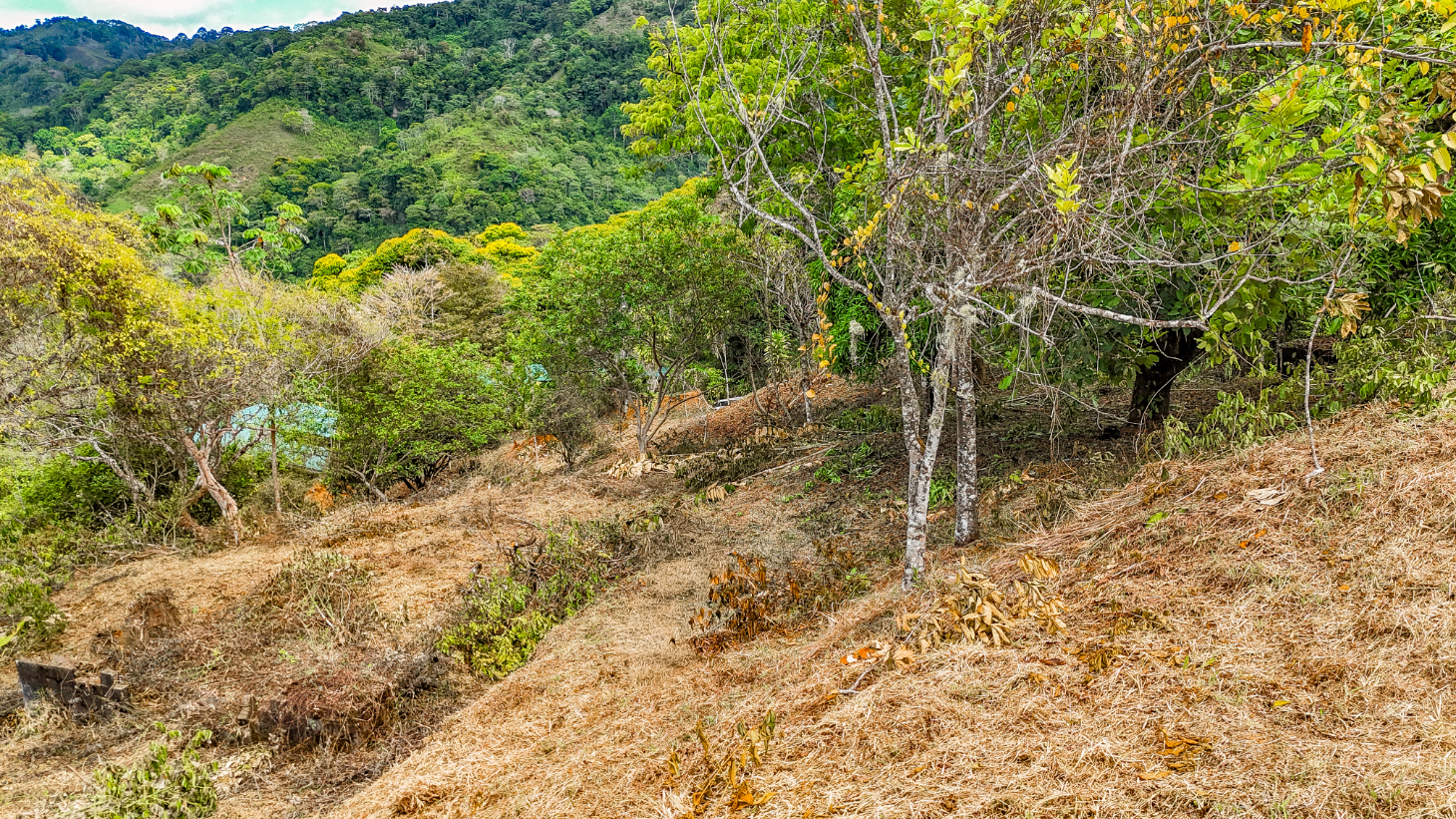 1.5 Acre Ocean & Mountain View Lot Near Uvita | Legal Water & Privacy selected