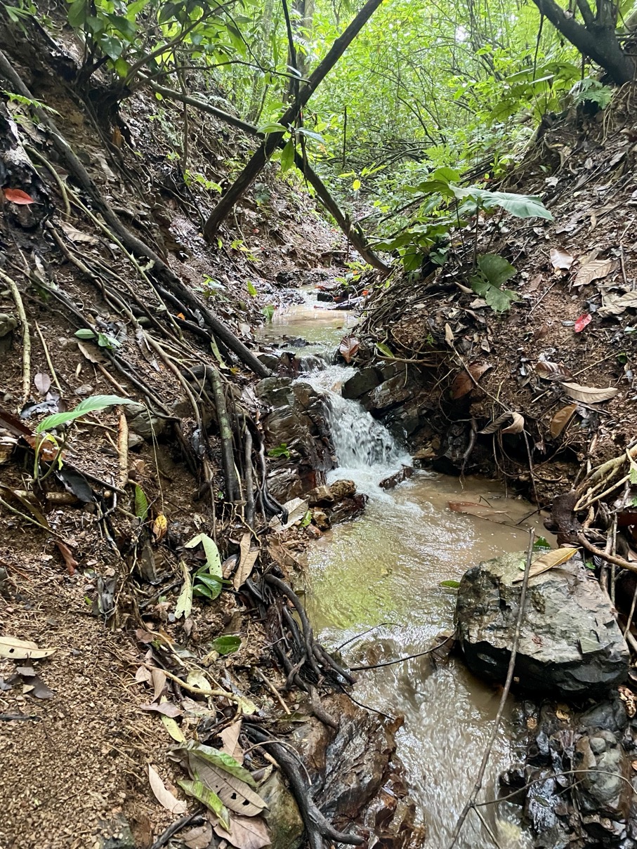 61.78 Acres of Oceanview Bliss with Private Waterfall in Tres Rios selected