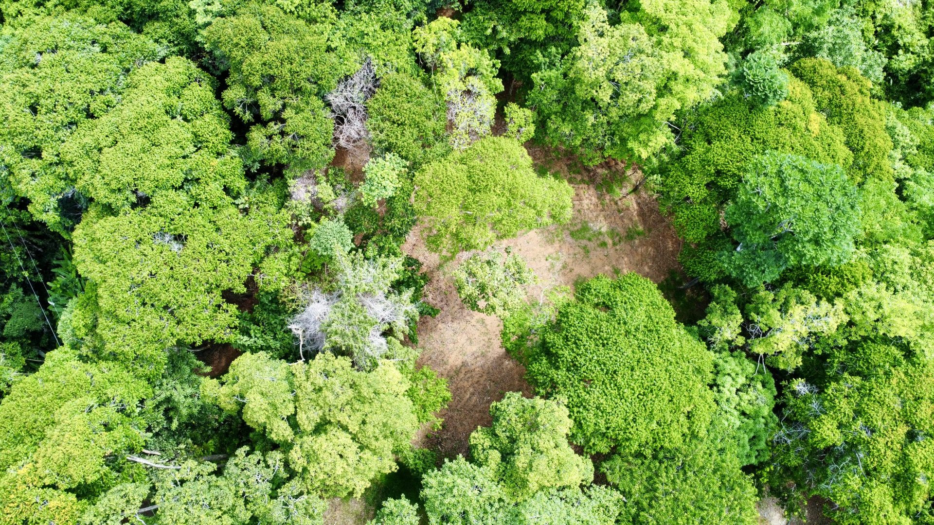 Exceptional 5.11-Acre Property in Lagunas selected