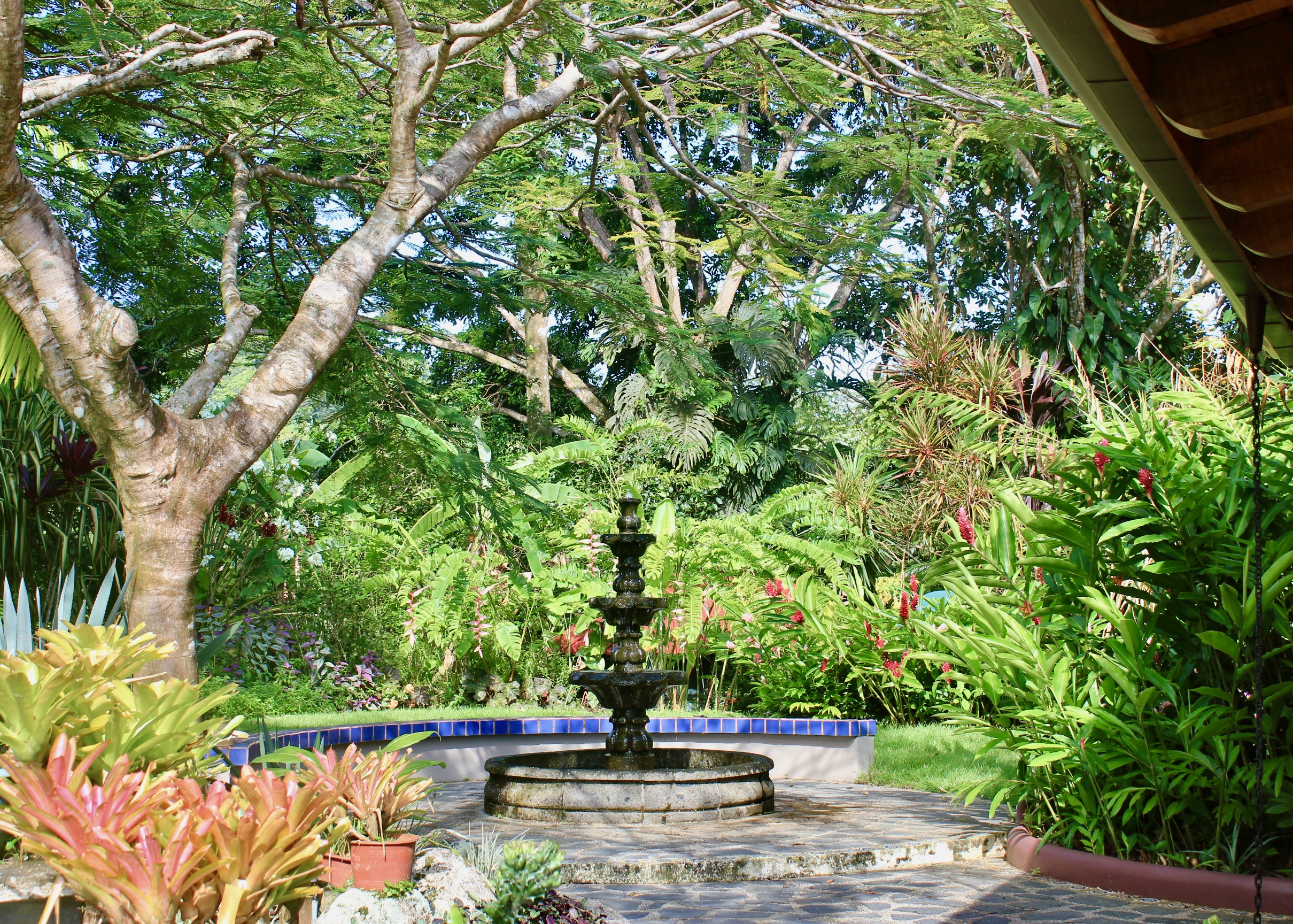 3 Bedroom Ocean View Home, Guest House, and Additional Building Site on 11.35 Acres selected