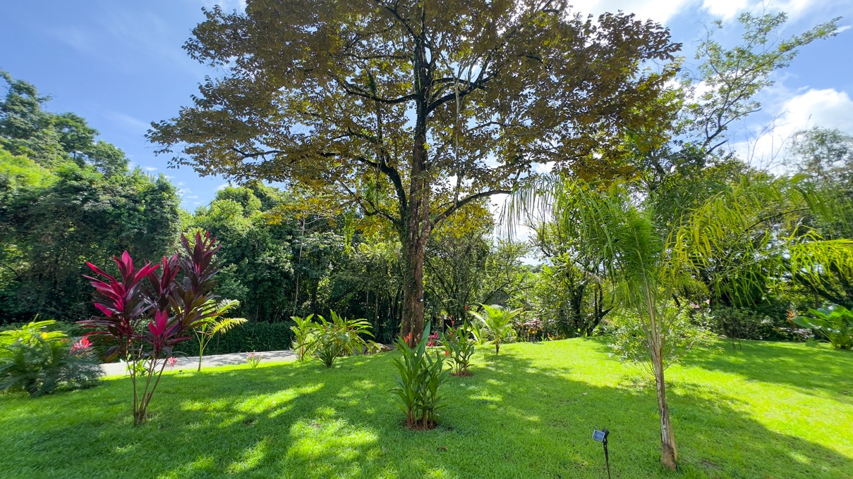 Casa La Paz: A Private Oasis of Luxury and Adventure in the Heart of Ojochal selected