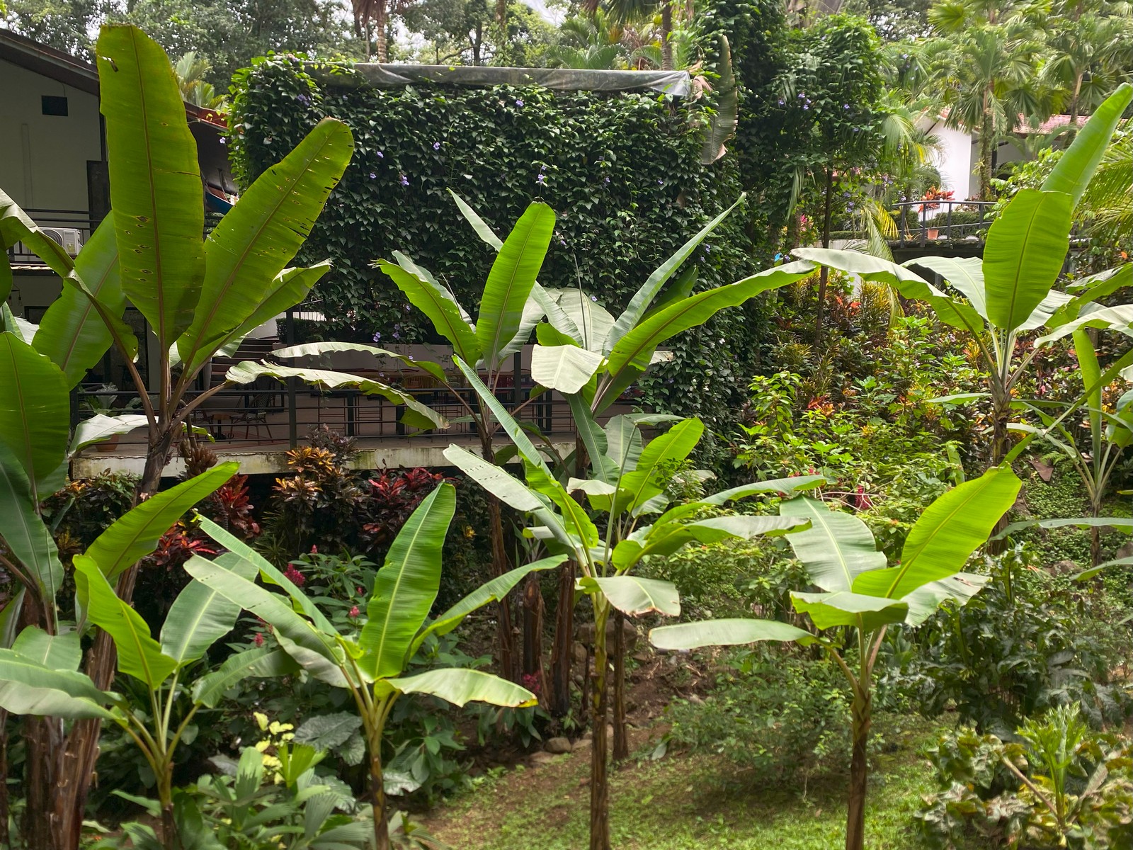 Turnkey Riverside Retreat in Ojochal selected