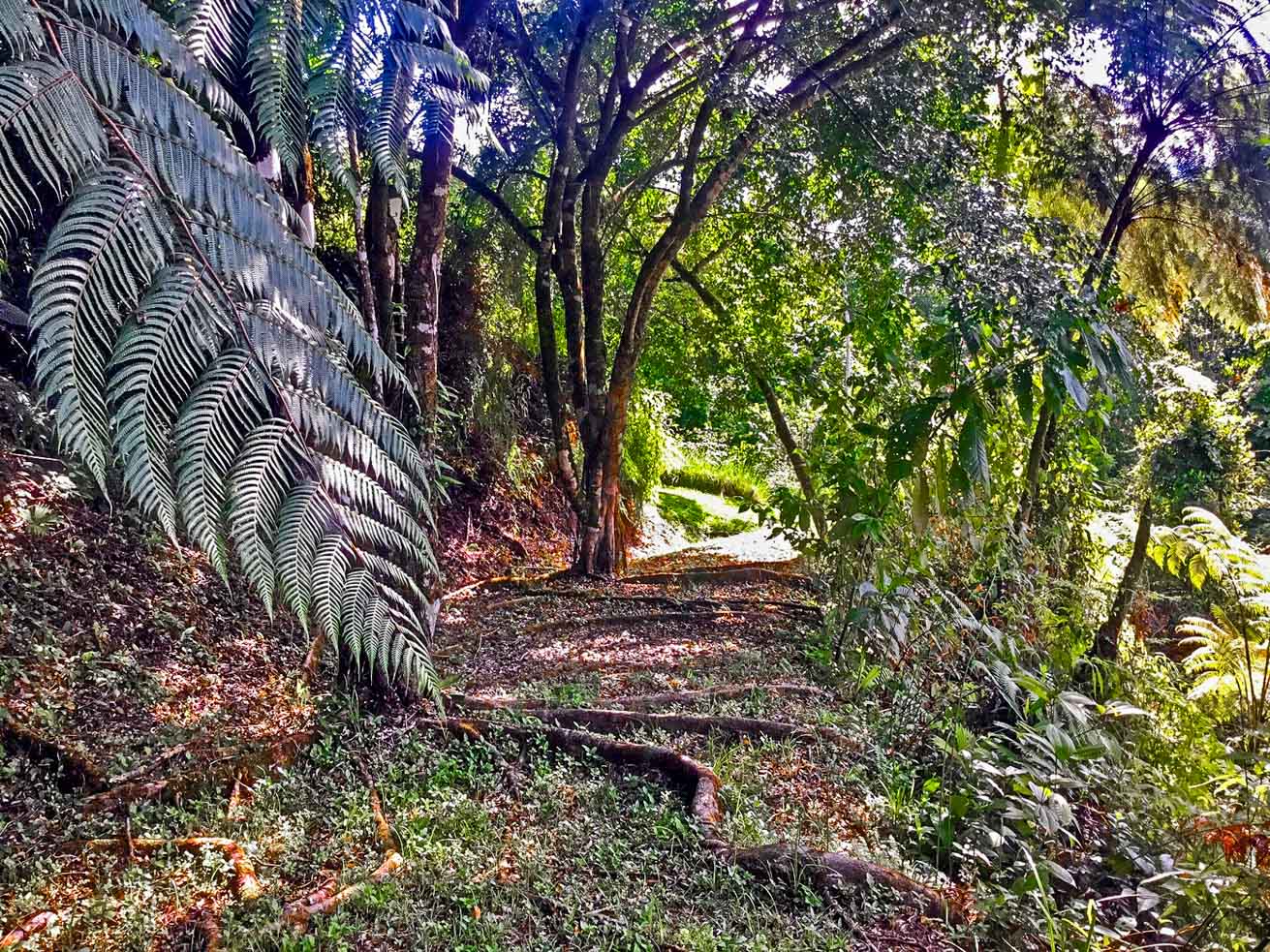 Ocean and Mountain View Retreat with Private River and Expansion Potential in Ojochal selected