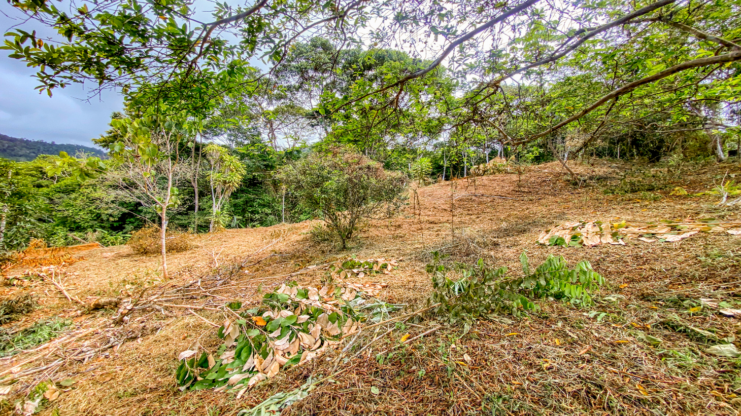 1.5 Acre Ocean & Mountain View Lot Near Uvita | Legal Water & Privacy selected