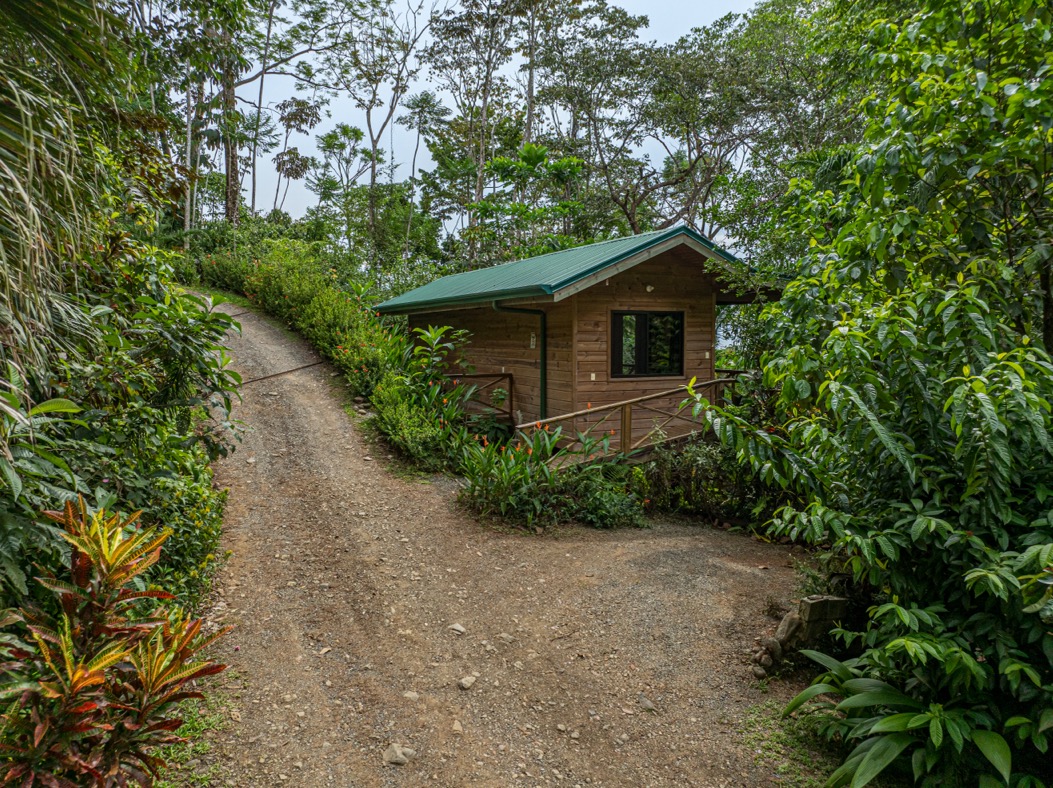 Charming Boutique Hotel with Ocean & Jungle Views in Uvita selected