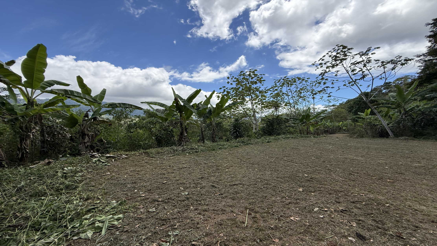 Jungle Lot with 3+ Building Sites, Legal Water, Electricity on Public Road with Big Valley & Mountain Views near San Josecito Costa Rica selected