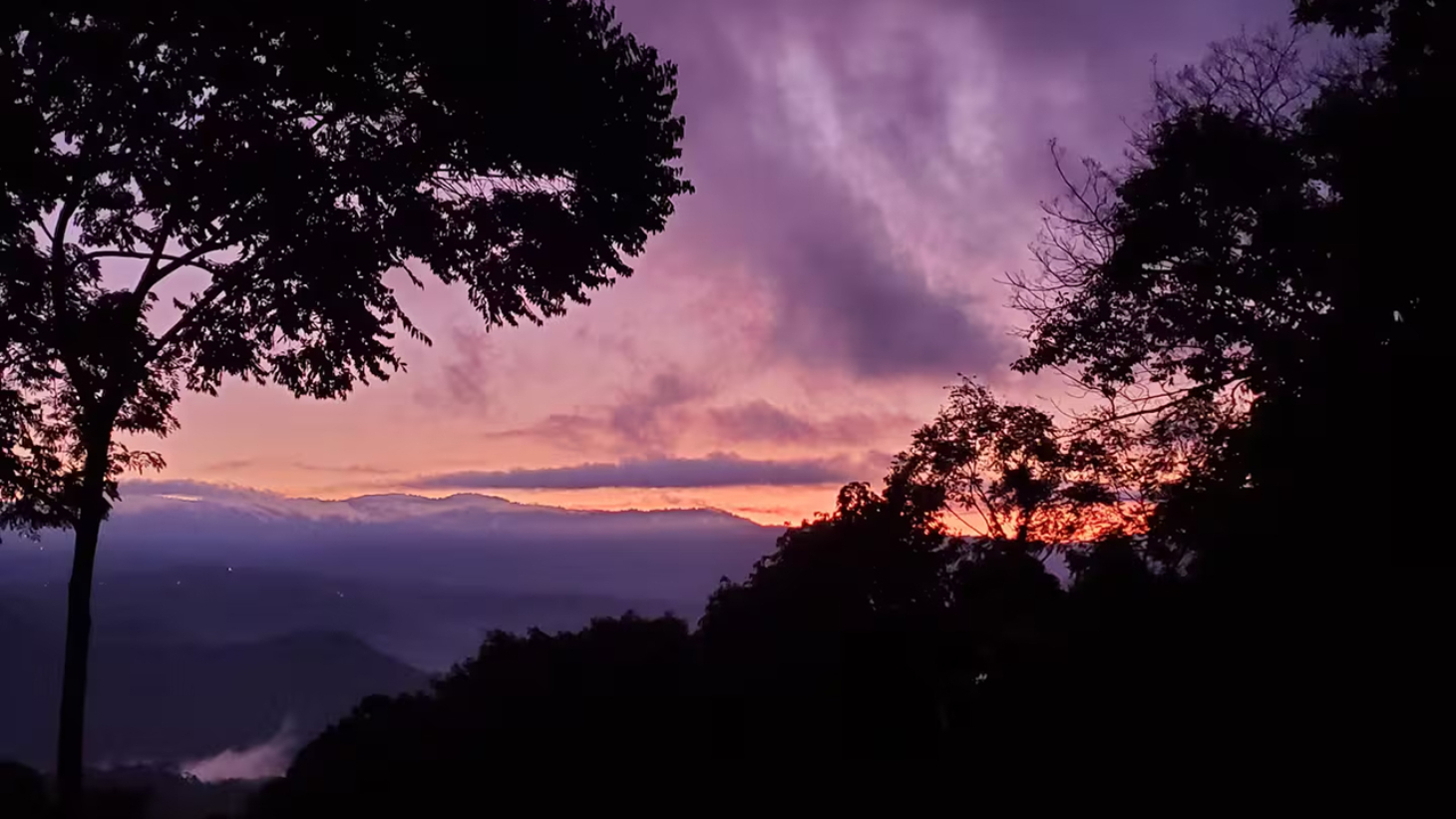 Rainforest Retreat with a Forested Setting and Good Rental History in Lagunas selected