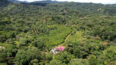 Premium 9.3-Hectare Farm for Sale in Ojochal, Costa Rica image 1