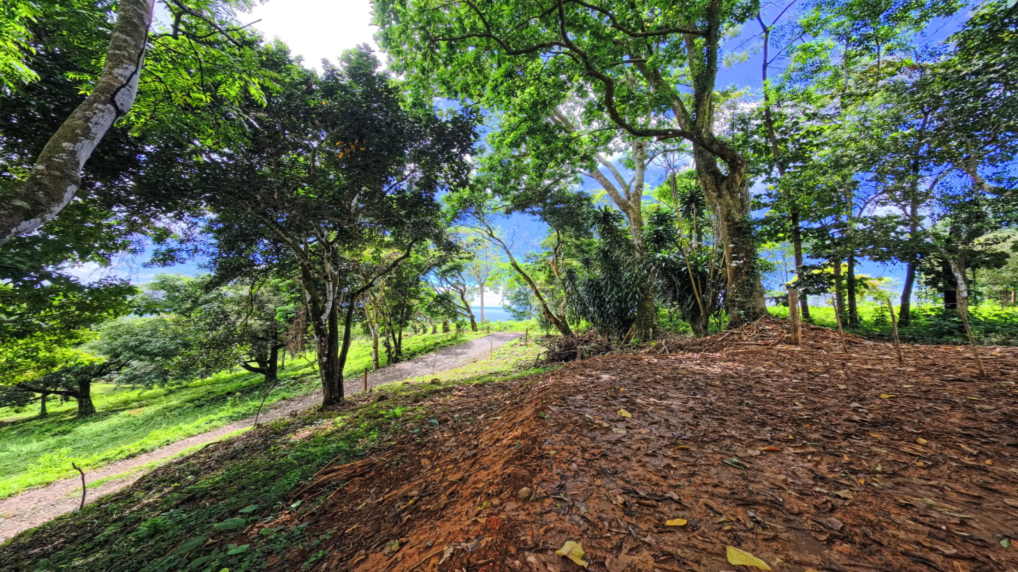 Expansive Ocean View Lot for Sale in Cinco Ventanas, Ojochal selected