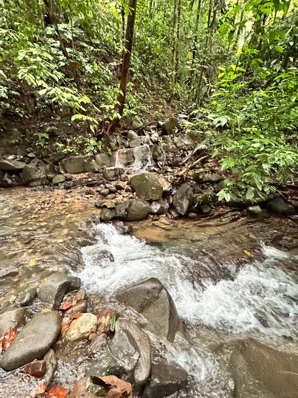 87 Acres of Natural Wonder and Endless Possibility in Ballena, Costa Rica selected