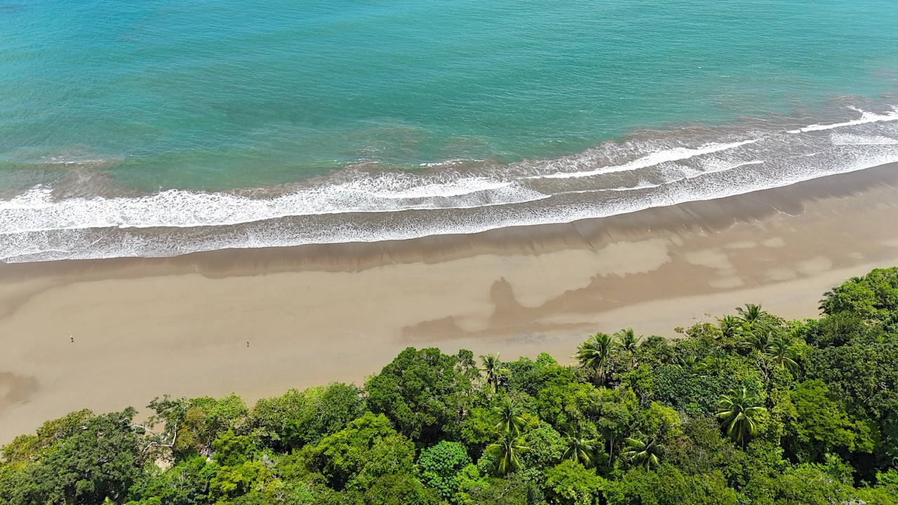 Elan Ground Floor 2-Bedroom Condo with Beach Access selected