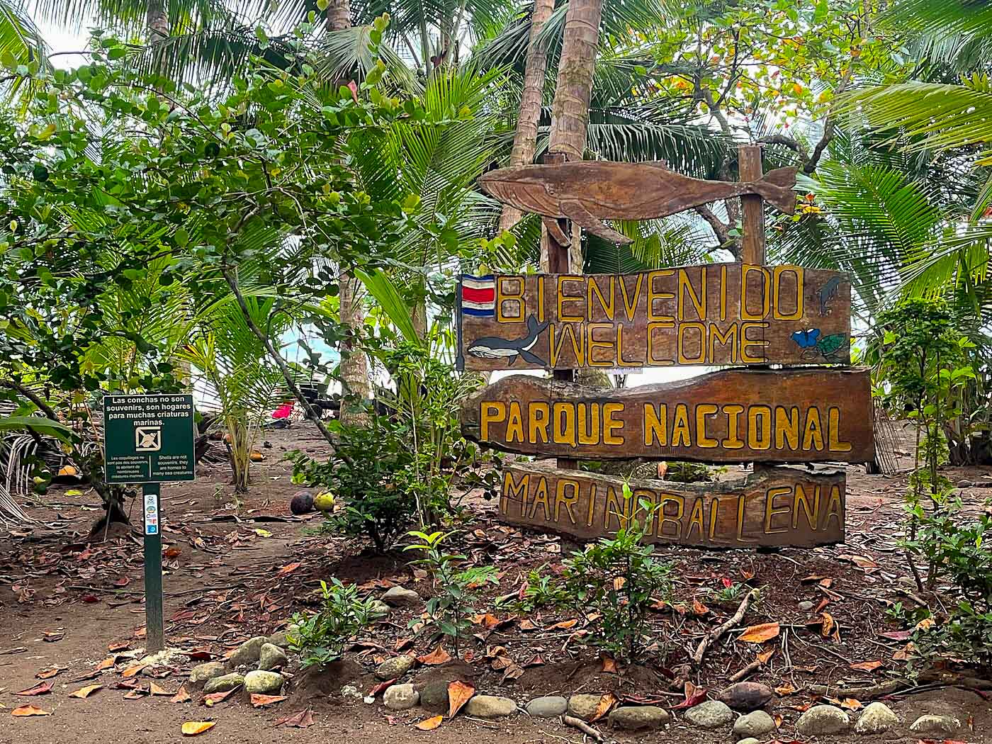 Rare Titled Beachside Development Opportunity Steps from Playa Chaman selected