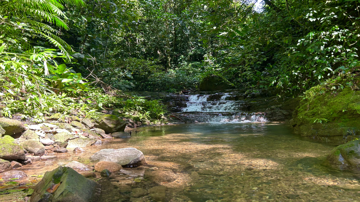 Selva Vista Estate – 5.9 Acres of Wild Beauty selected