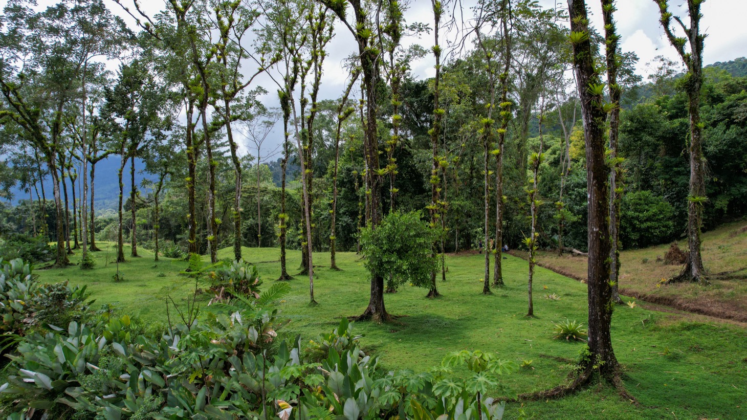 Secluded 4.5-Hectare Riverfront Oasis Near Hatillo & Dominical – Dos Bocas, Costa Rica selected