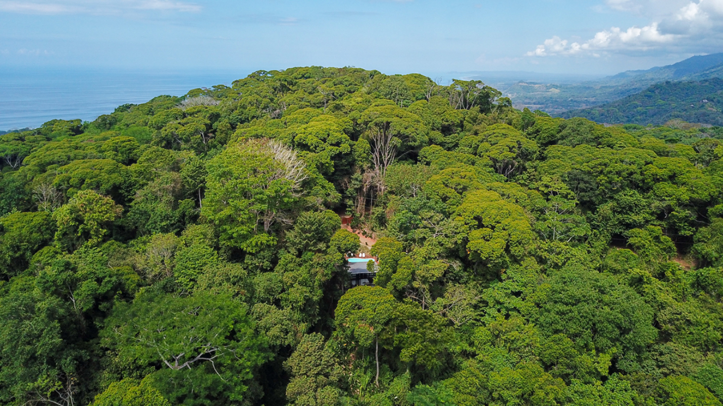 Rainforest Retreat with a Forested Setting and Good Rental History in Lagunas selected