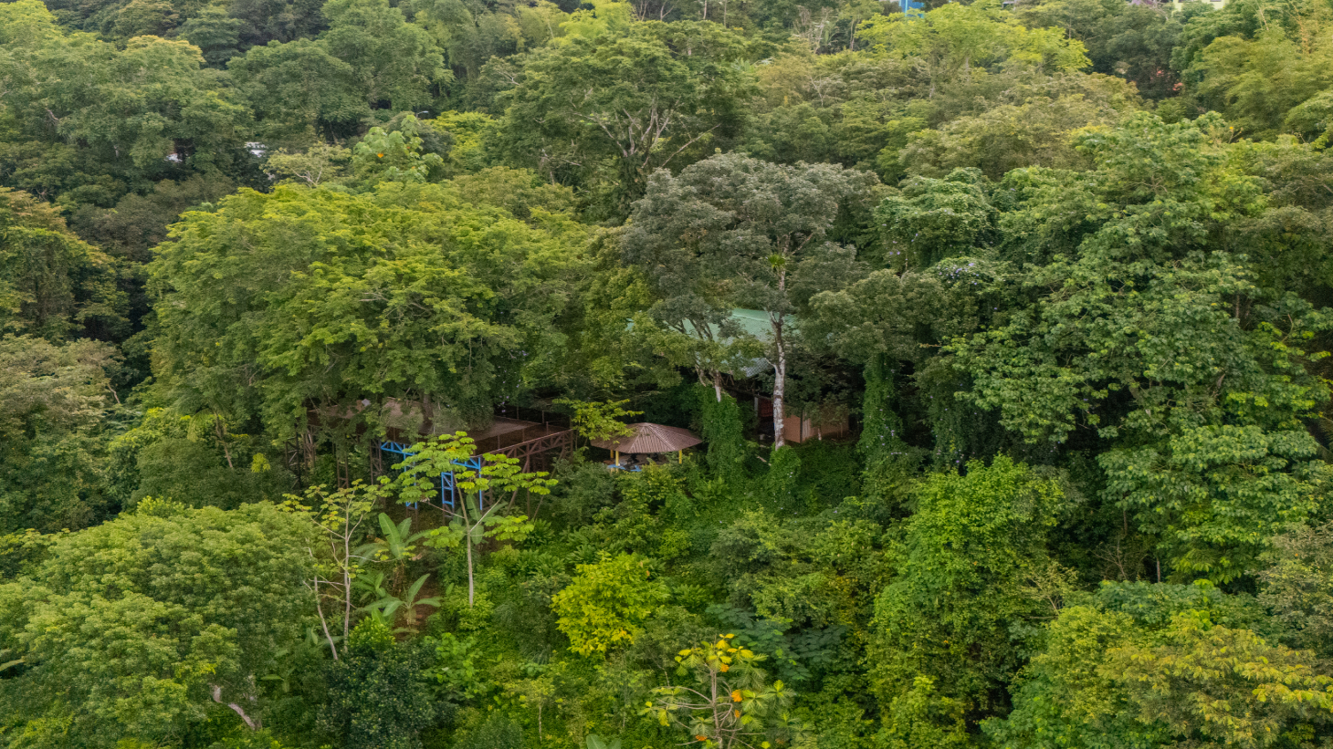 Where the Journey Begins | Private Jungle Estate at Nauyaca Waterfalls selected